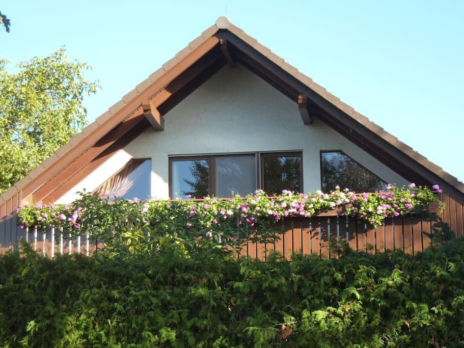 Ferienwohnung Am Stadtrand Von Berlin Neu Buch Luaran gambar